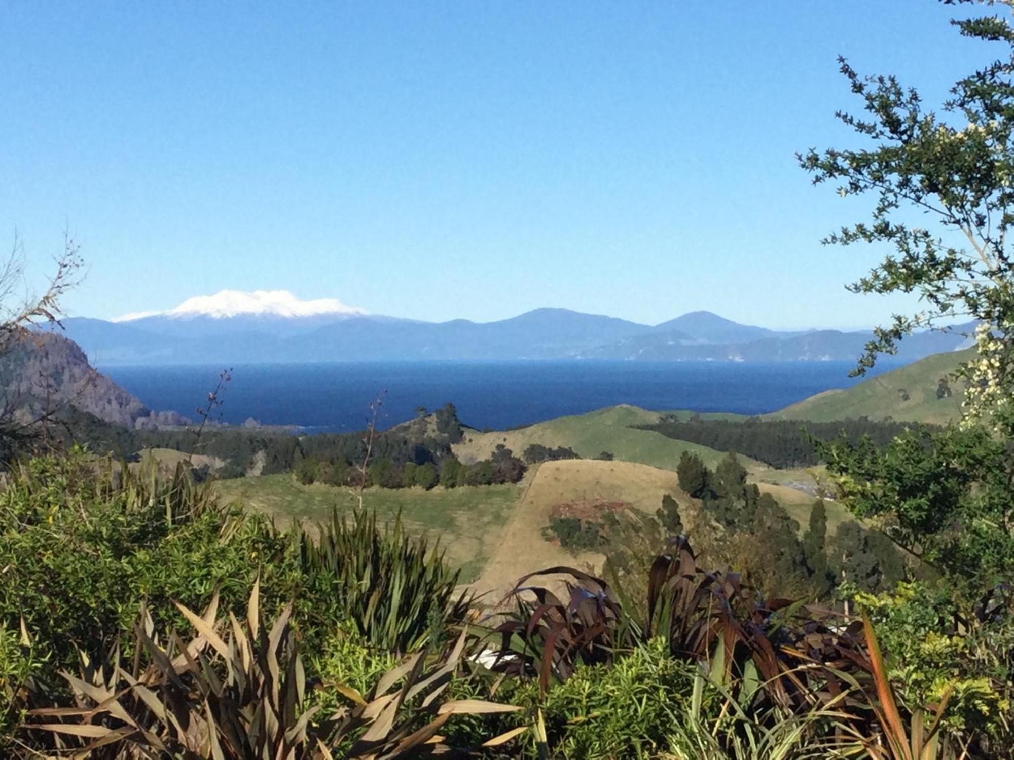 Whakaipo Bay Cabin Retreat Taupo Exterior photo